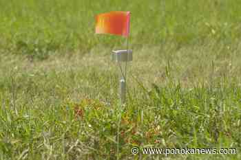 Suspected grave sites, children’s deaths found in probe of B.C. residential school