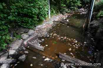 La Bretagne enregistre un "triste record" avec de nombreux cours d'eau à sec l'été dernier