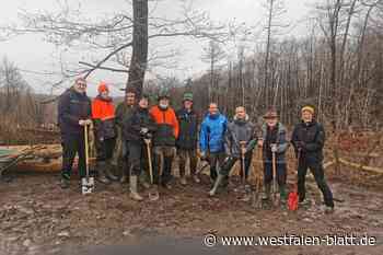 Lübbecker Freiwillige pflanzen einen Hektar Wald