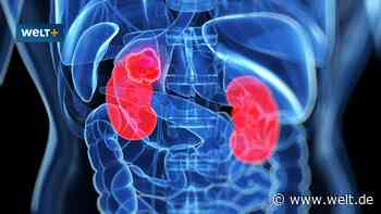 Der riskante Neustart des neuen Fresenius-Chefs