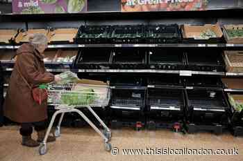 Aldi and Tesco join UK retailers with fresh produce purchase limits