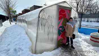 Temporary carports lining a Montreal street are full of what you might least expect