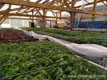 "Salon à la ferme": une alternative au Salon de l'agriculture s'invite dans La Roya