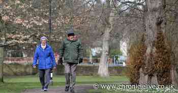 North East weather: Met Office forecasts spring-like sunshine for Thursday and Friday