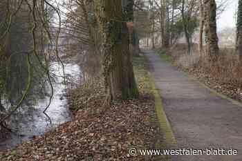 Was möchten die Bad Oeynhausener mit dem Sielpark machen?
