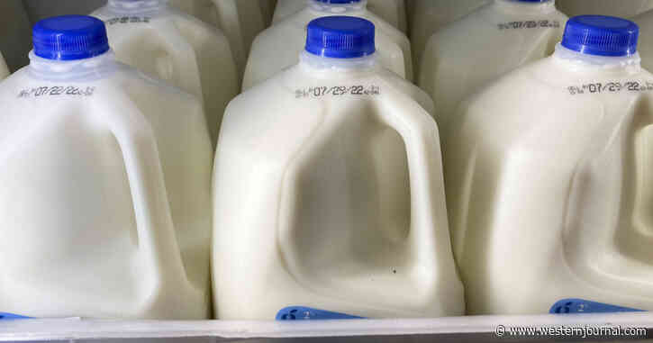 Dairy Farmers Angry After FDA Makes Announcement on Oat and Soy 'Milk'