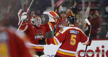 Calgary Dinos focused on playoffs after capping season with 23 game winning streak
