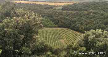 Scientists Sleuth Out Meteorite Crater at a French Winery     - CNET