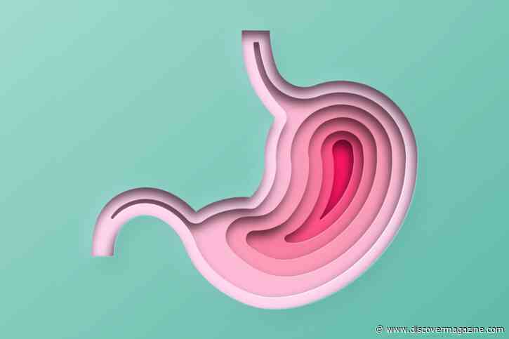 Why Stomach Acid is Super Strong — And Super Important