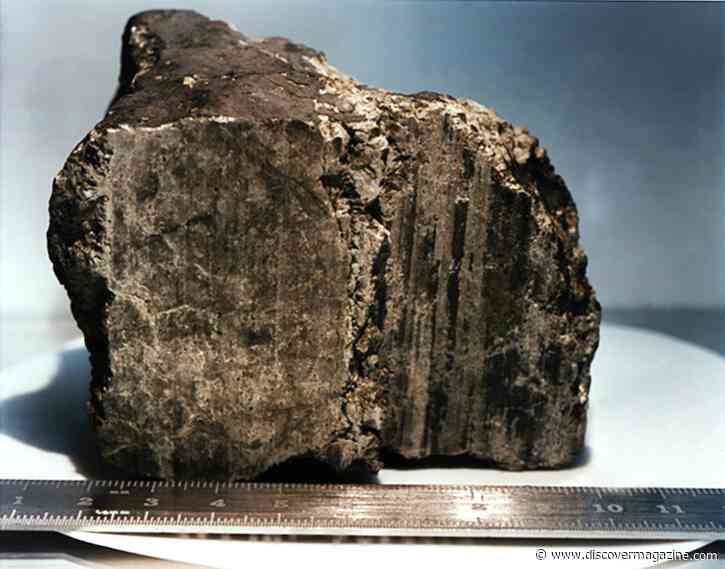 New Life Found on an Old Rock