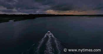 ‘Murdaugh Murders’ and the Allure of Regional True Crime