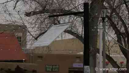 Winter weather uproots trees, knocks power out across Albuquerque metro