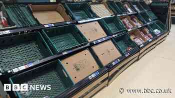 Tesco and Aldi limit sales of tomatoes, peppers and cucumbers