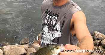 Murder charge dropped in West Dundee road rage case, but man's found guilty of battery