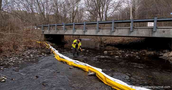 Man Makes Disturbing Discovery on Property 1.4 Miles from Ohio Toxic Chemical Burn