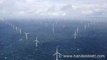 Versicherung: Unternehmen fordern von Versicherern mehr Mut bei der nachhaltigen Transformation