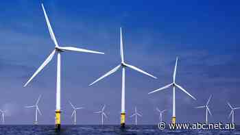 Federal government reveals plan for offshore wind farm near Newcastle