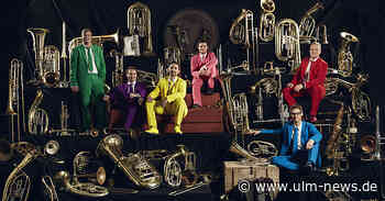 Blasmusik trifft auf Funk und Jazz: Band Erpfenbrass spielt im Zehntstadel