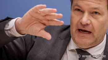 Habeck will Umgehung von Russland-Sanktionen erschweren