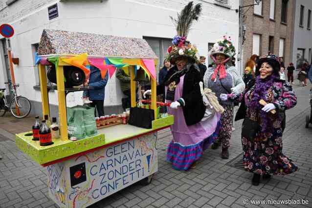 Politiediensten spreken over voorbeeldige carnavalseditie, met amper één gerechtelijke arrestatie: “Heel lage cijfers in vergelijking met andere jaren”