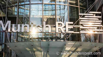 Versicherer: Munich Re: Kursrutsch trotz übertroffener Gewinnprognose
