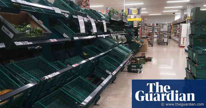 UK salad shortages could last a month, warns environment secretary