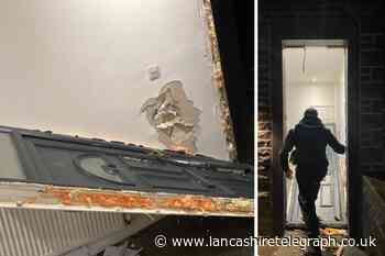 Nelson cannabis farm dismantled by police after breaking down door