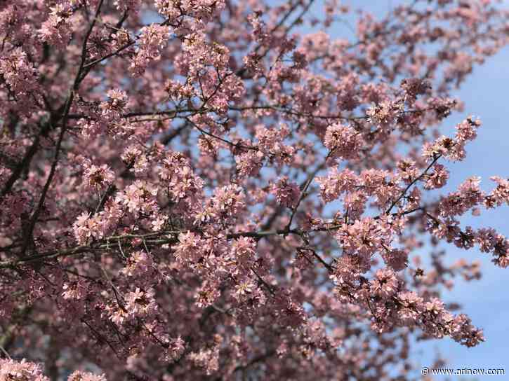Morning Poll: What do you think about an 80 degree day in February?