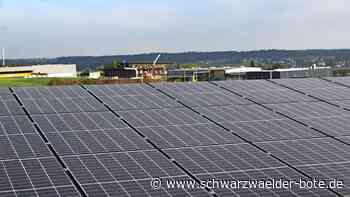 Thema Klima in Altensteig: Energieteam widmet sich auch 2023 neuen Projekte