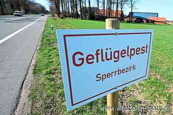 PETA-Appell an Paderborns Landrat Christoph Rüther und das Veterinäramt