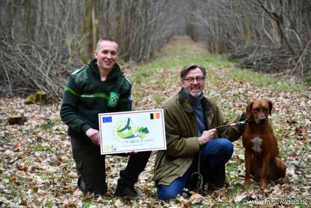 “Loslopende honden, achteloze mountainbikers en zelfs stropers zijn plaag voor de dieren”: Kasteelheer Jérôme hoopt dat erkenning als ‘Wildlife Estate’ rust doet weerkeren in zijn bos