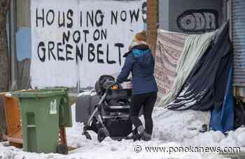 Federal housing advocate reviewing ‘human rights crisis’ of homeless encampments