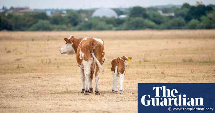 England needs new reservoirs or food supplies will be at risk, warns NFU chief