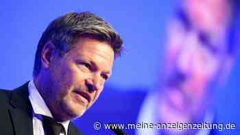 „Was ich Ihnen mitteilen muss, ist nicht erfreulich“: So will Habeck die Umgehung der Sanktionen stoppen