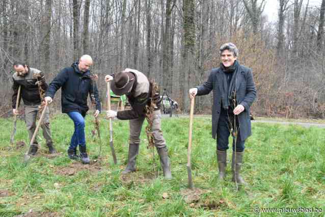 Geen bloemen of champagne voor componist van Onze Natuur, maar bomen en die maken bekend bos groter: “Ons eigen bos, daar word ik zelfs emotioneel van”