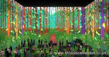 David Hockney: entertaining immersive show at Lightroom King's Cross