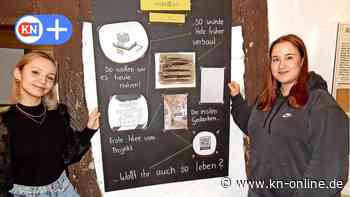 Ausstellung in Bad Segeberg: Gymnasiasten der Dahlmannschule fragen „Wie wollen wir leben?“