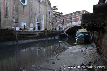Vision étrange à Venise: des gondoles échouées à cause d'un phénomène de basses marées