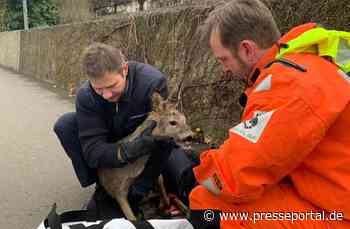 PP-ELT: Tierrettung aus dem Rhein