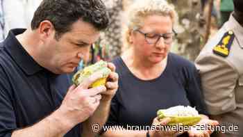 Schulze und Heil warnen vor Russlands Einfluss in Afrika