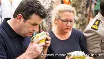 Schulze und Heil warnen vor Russlands Einfluss in Afrika