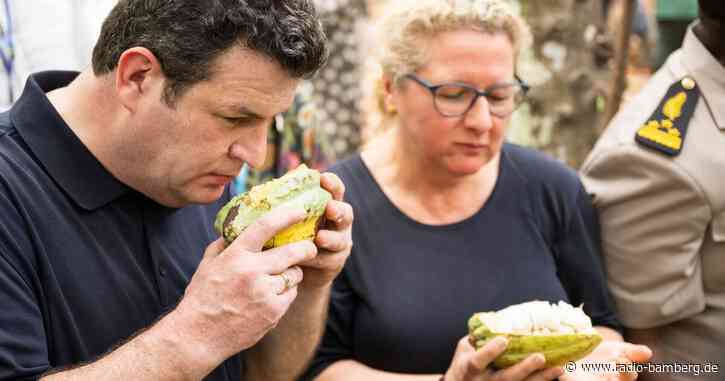 Schulze und Heil warnen vor Russlands Einfluss in Afrika