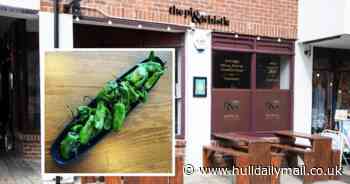 'RIP Padrons'- popular Beverley restaurant takes peppers off the menu as prices soar