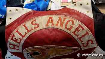 Outlaw bikers among 27 suspects nabbed in Ontario bust