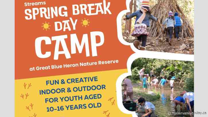 Streams Canada offering free spring break camp at Great Blue Heron Reserve in Chilliwack