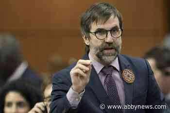 Federal protection proposed for critically at-risk spotted owls in B.C., groups say