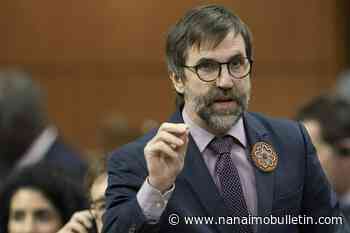 Federal protection proposed for critically at-risk spotted owls in B.C., groups say