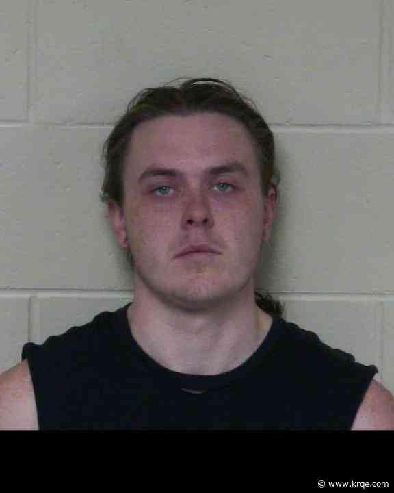 Los Alamos teen arrested for several felonies