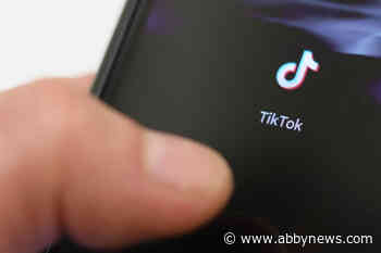 B.C. privacy commissioner part of interprovincial, federal TikTok investigation