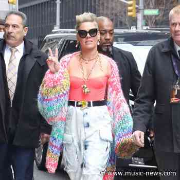 Pink certain Janis Joplin biopic will never get made